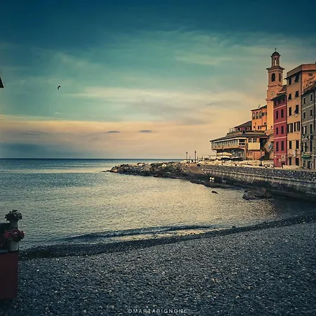 The S Place *
